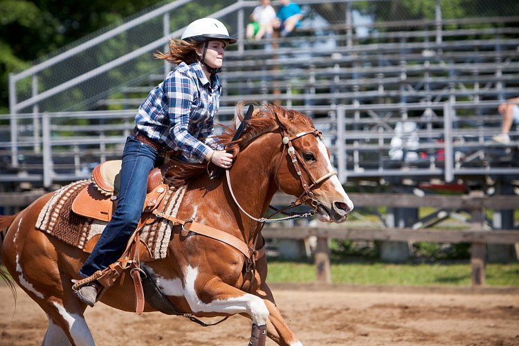 4H-Fun-Show-060912-304.JPG