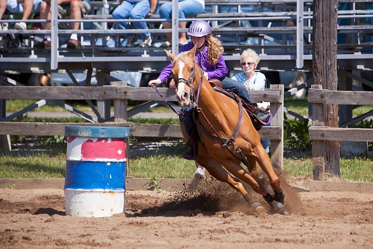 4H-Fun-Show-060912-306.JPG