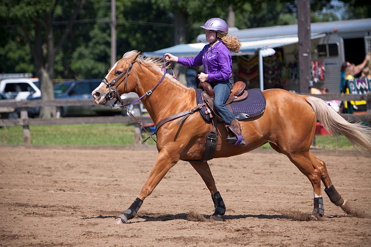 4H-Fun-Show-060912-307.JPG