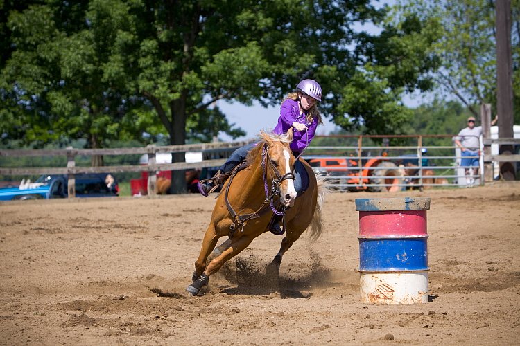 4H-Fun-Show-060912-308.JPG