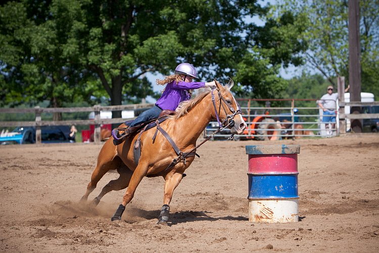 4H-Fun-Show-060912-310.JPG