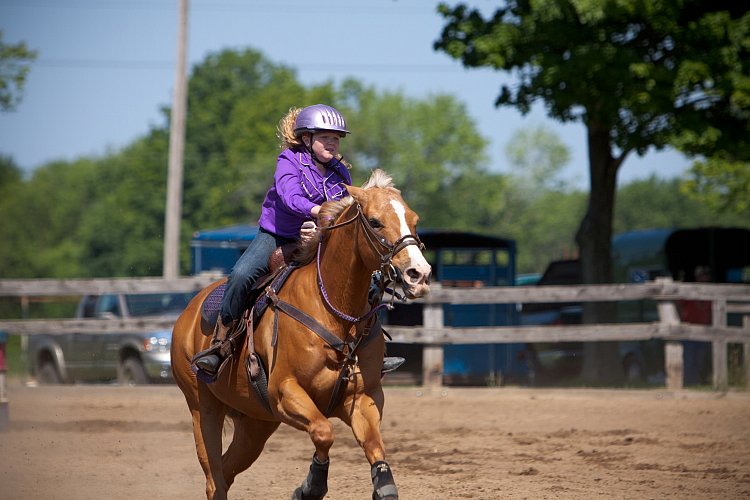 4H-Fun-Show-060912-313.JPG