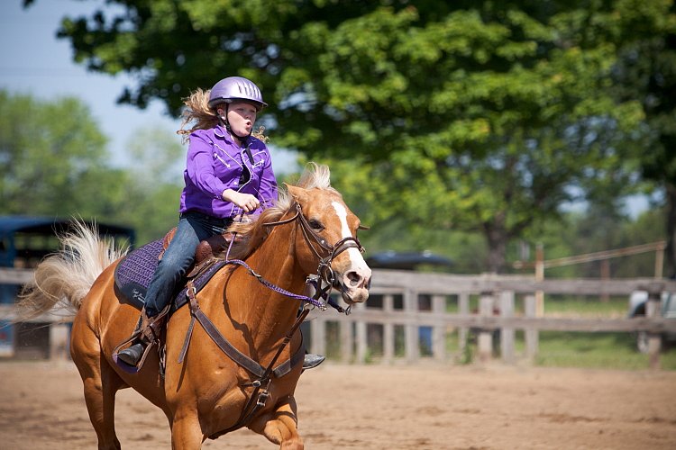 4H-Fun-Show-060912-314.JPG