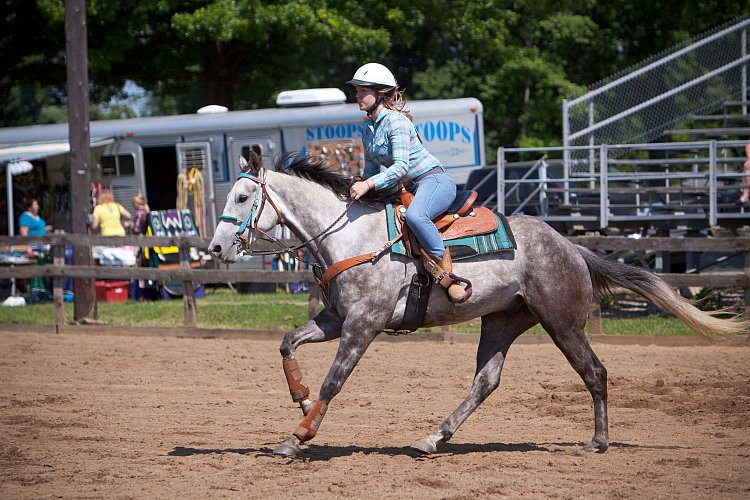 4H-Fun-Show-060912-316.JPG