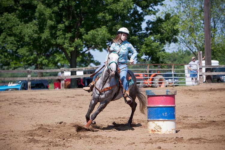 4H-Fun-Show-060912-317.JPG