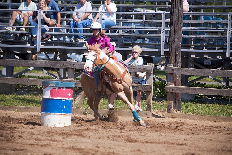 4H-Fun-Show-060912-323.JPG