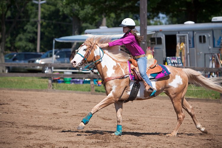 4H-Fun-Show-060912-325.JPG