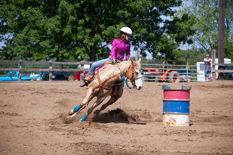 4H-Fun-Show-060912-327.JPG