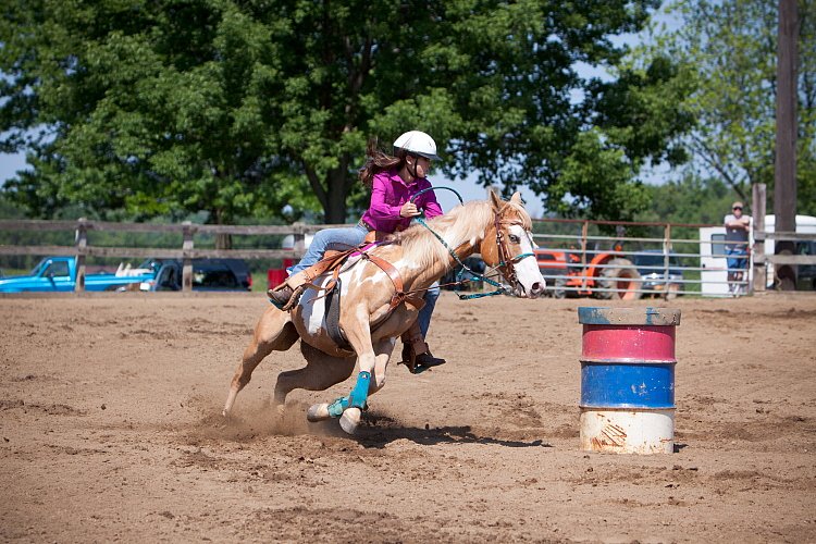 4H-Fun-Show-060912-328.JPG