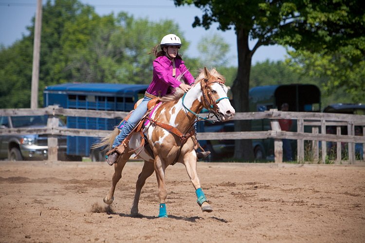 4H-Fun-Show-060912-330.JPG