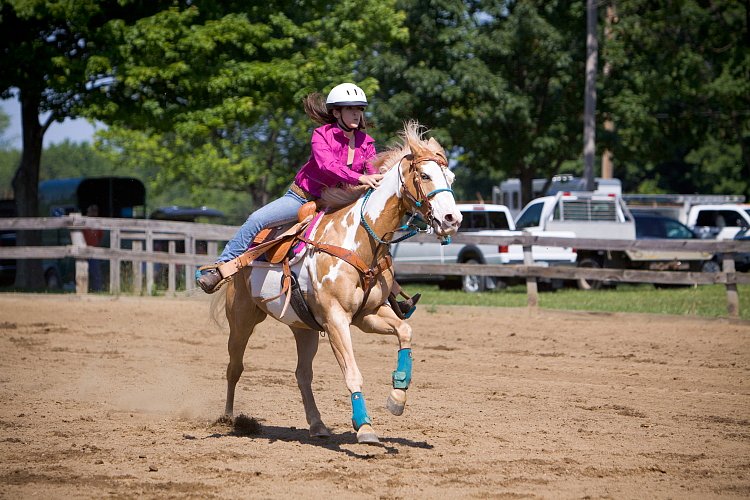 4H-Fun-Show-060912-331.JPG