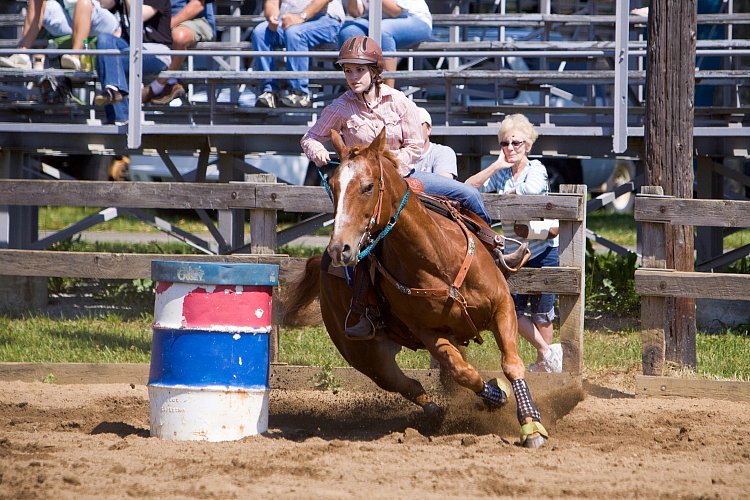 4H-Fun-Show-060912-332.JPG