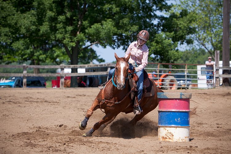 4H-Fun-Show-060912-334.JPG