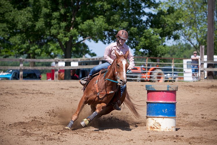 4H-Fun-Show-060912-335.JPG