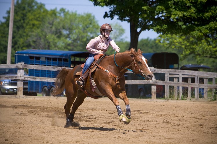 4H-Fun-Show-060912-337.JPG