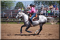 4H-Fun-Show-060912-255.JPG