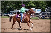 4H-Fun-Show-060912-277.JPG