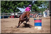 4H-Fun-Show-060912-284.JPG