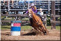 4H-Fun-Show-060912-306.JPG