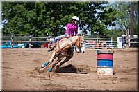 4H-Fun-Show-060912-327.JPG