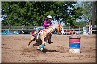 4H-Fun-Show-060912-328.JPG