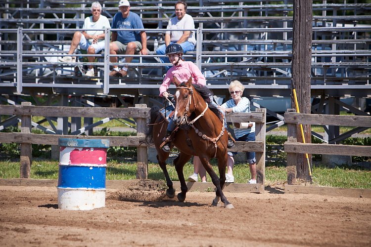 4H-Fun-Show-060912-339.JPG