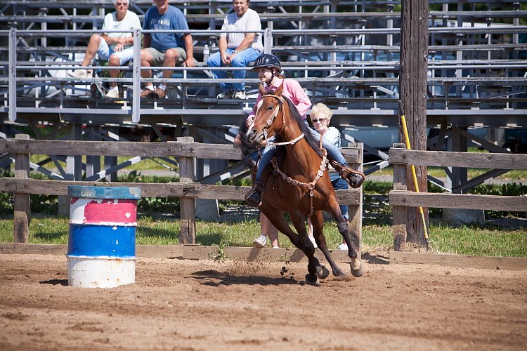 4H-Fun-Show-060912-340.JPG