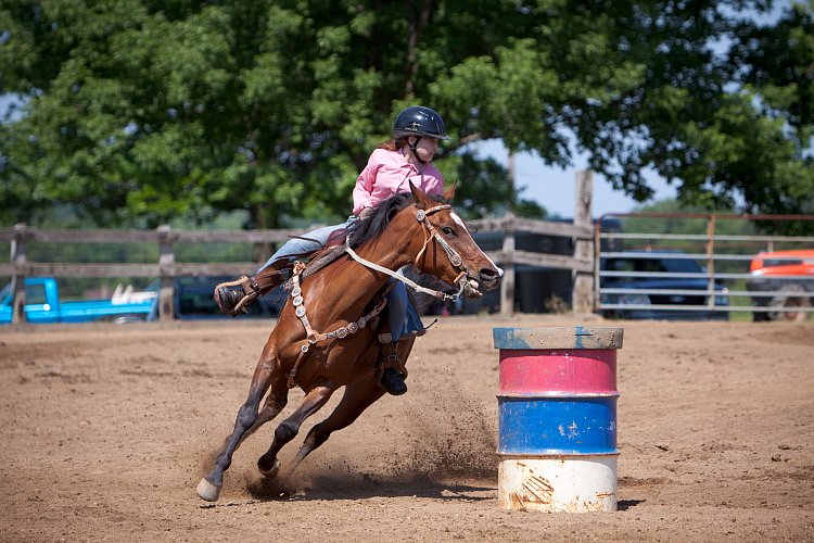 4H-Fun-Show-060912-341.JPG