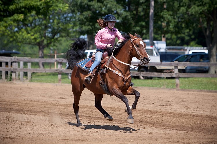 4H-Fun-Show-060912-343.JPG