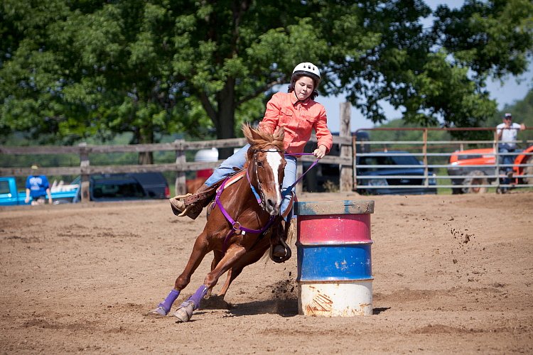 4H-Fun-Show-060912-346.JPG