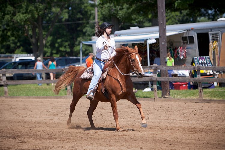 4H-Fun-Show-060912-355.JPG