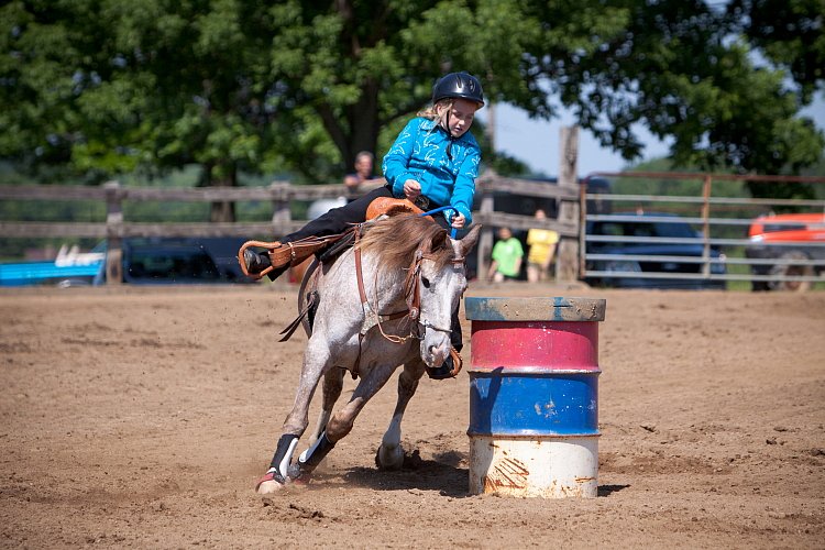 4H-Fun-Show-060912-358.JPG