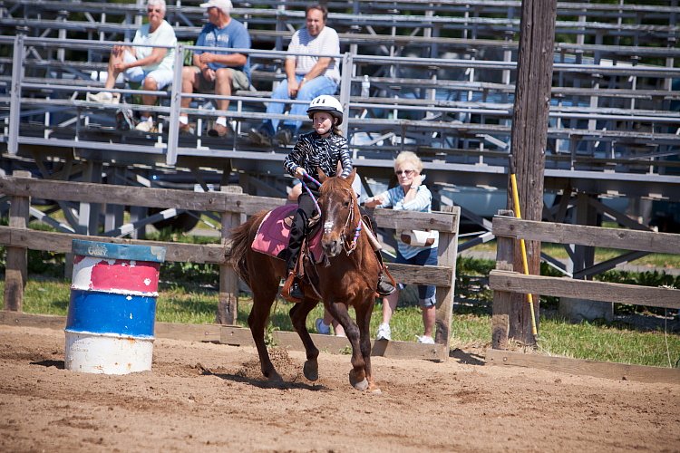 4H-Fun-Show-060912-361.JPG