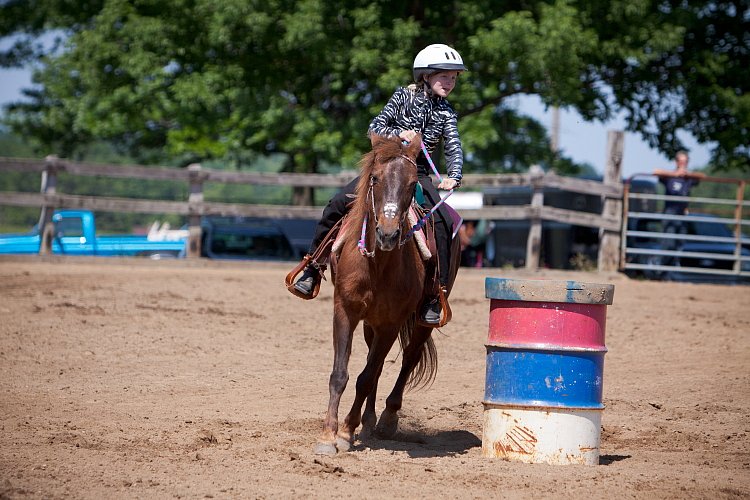 4H-Fun-Show-060912-364.JPG