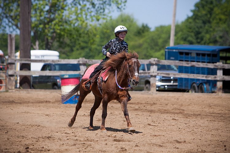 4H-Fun-Show-060912-365.JPG