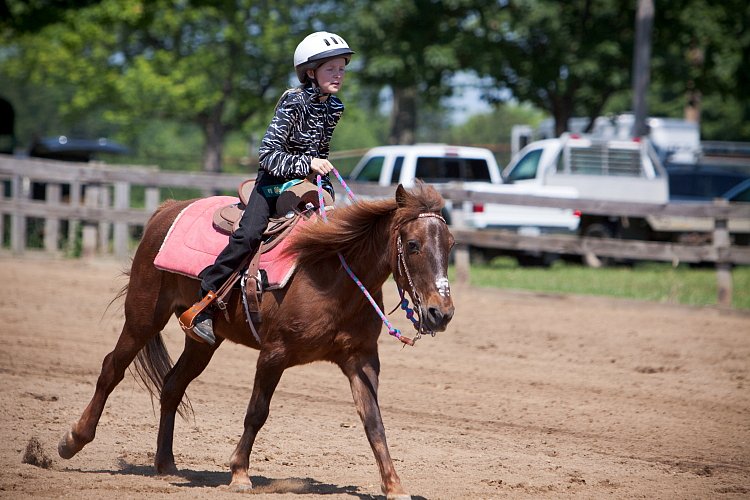 4H-Fun-Show-060912-366.JPG