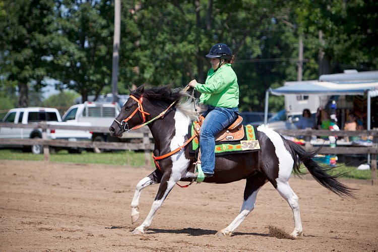 4H-Fun-Show-060912-373.JPG