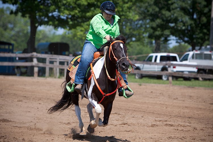 4H-Fun-Show-060912-377.JPG