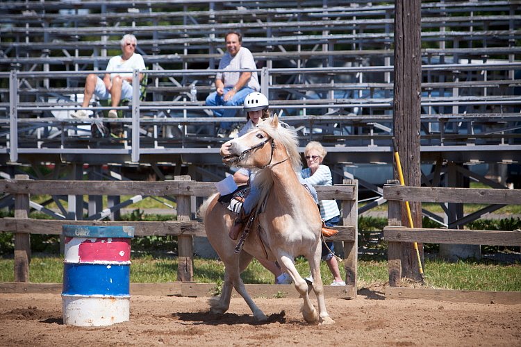 4H-Fun-Show-060912-378.JPG