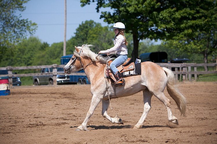 4H-Fun-Show-060912-379.JPG