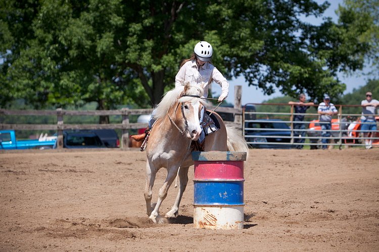 4H-Fun-Show-060912-380.JPG