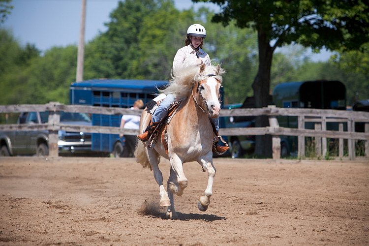 4H-Fun-Show-060912-382.JPG