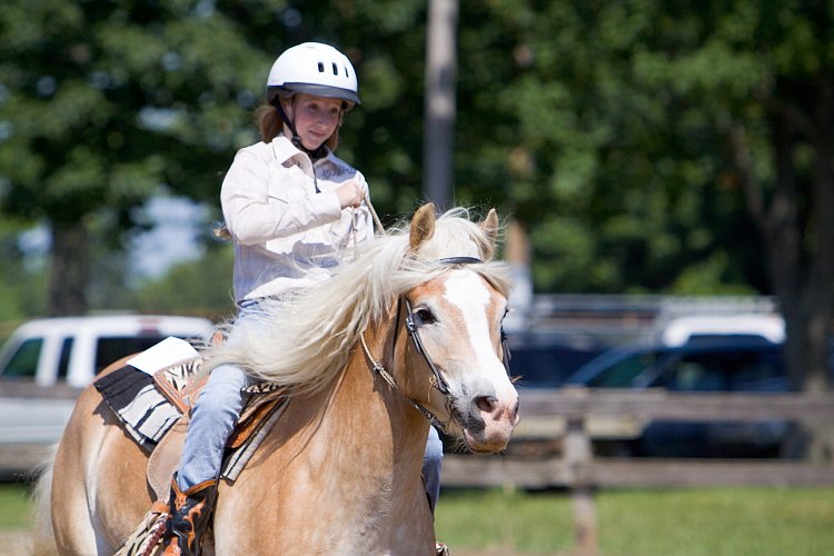 4H-Fun-Show-060912-383.JPG