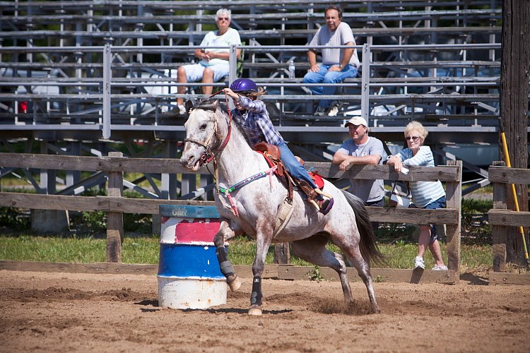 4H-Fun-Show-060912-385.JPG