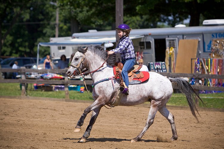 4H-Fun-Show-060912-386.JPG