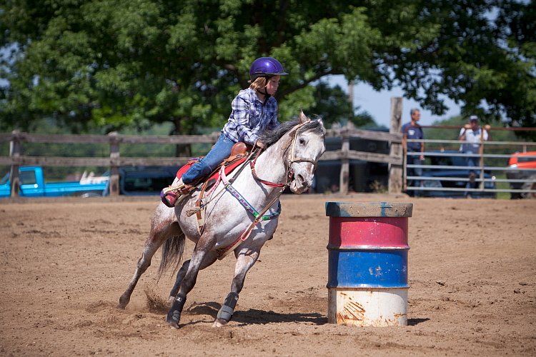 4H-Fun-Show-060912-388.JPG