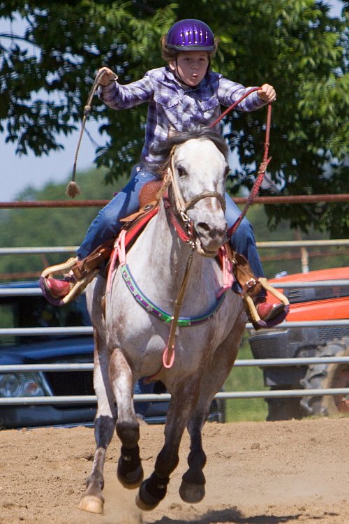 4H-Fun-Show-060912-390.JPG