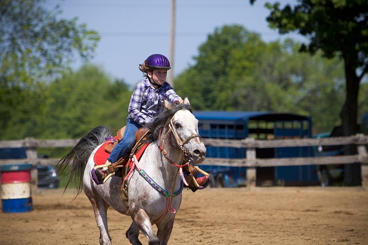 4H-Fun-Show-060912-393.JPG