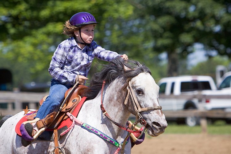 4H-Fun-Show-060912-394.JPG