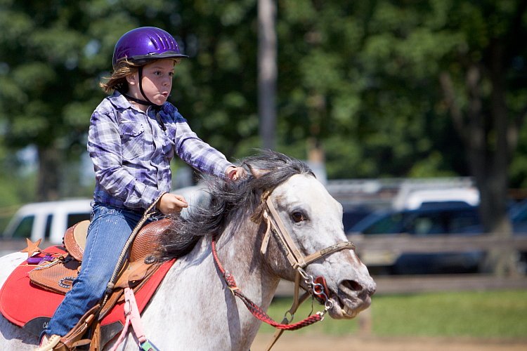 4H-Fun-Show-060912-395.JPG